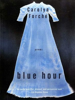 cover image of Blue Hour